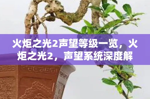 火炬之光2声望等级一览，火炬之光2，声望系统深度解析