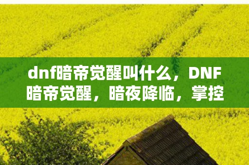 dnf暗帝觉醒叫什么，DNF暗帝觉醒，暗夜降临，掌控暗影的终极力量