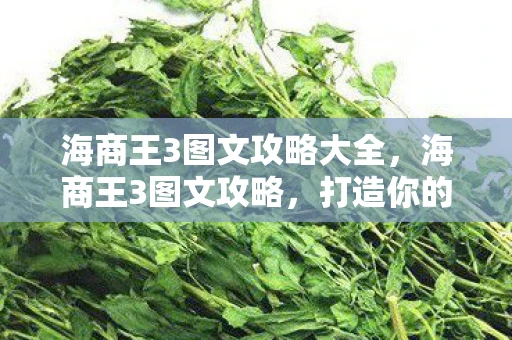 海商王3图文攻略大全，海商王3图文攻略，打造你的海上帝国