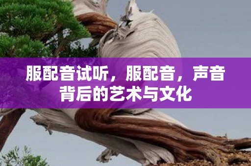 服配音试听，服配音，声音背后的艺术与文化
