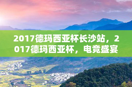 2017德玛西亚杯长沙站，2017德玛西亚杯，电竞盛宴的回顾与启示