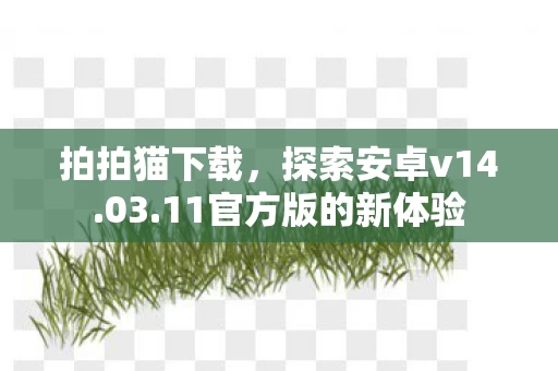 11官方版的新体验图片