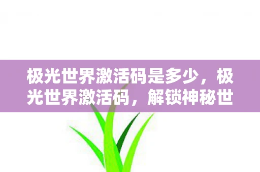 极光世界激活码是多少，极光世界激活码，解锁神秘世界的钥匙