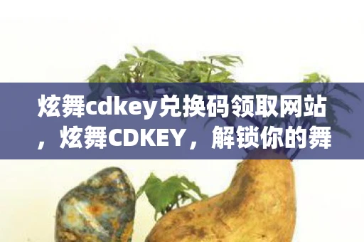 炫舞cdkey兑换码领取网站，炫舞CDKEY，解锁你的舞蹈梦想