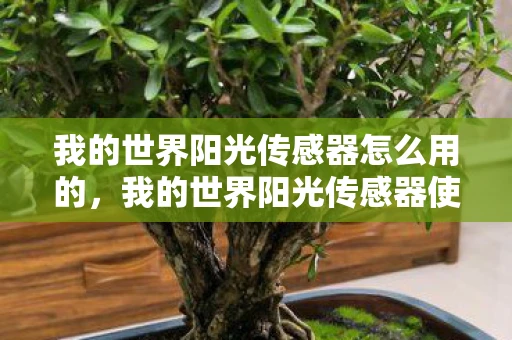 我的世界阳光传感器怎么用的，我的世界阳光传感器使用指南，掌握自然光线的魔法