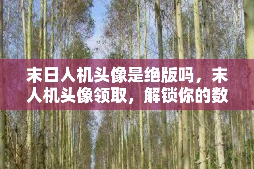 末日人机头像是绝版吗，末人机头像领取，解锁你的数字身份新面貌