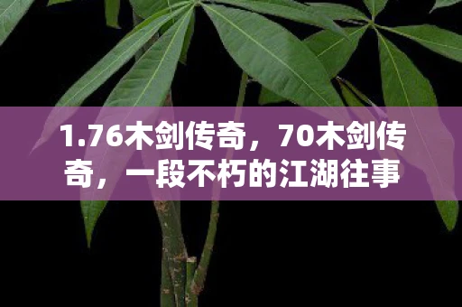 1.76木剑传奇，70木剑传奇，一段不朽的江湖往事