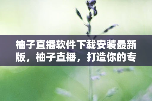 柚子直播软件下载安装最新版，柚子直播，打造你的专属直播平台