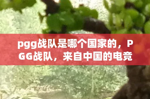 pgg战队是哪个国家的，PGG战队，来自中国的电竞新星