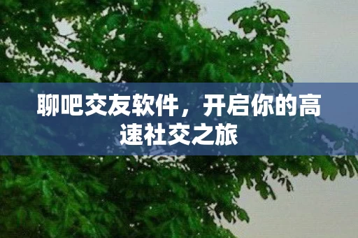 开启你的高速社交之旅图片