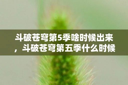 斗破苍穹第5季啥时候出来，斗破苍穹第五季什么时候出？揭秘动画更新时间表