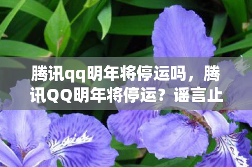 腾讯qq明年将停运吗，腾讯QQ明年将停运？谣言止于智者