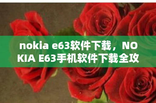 nokia e63软件下载，NOKIA E63手机软件下载全攻略