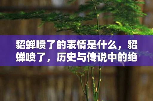 貂蝉喷了的表情是什么，貂蝉喷了，历史与传说中的绝世佳人