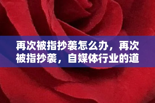 再次被指抄袭怎么办，再次被指抄袭，自媒体行业的道德困境与反思