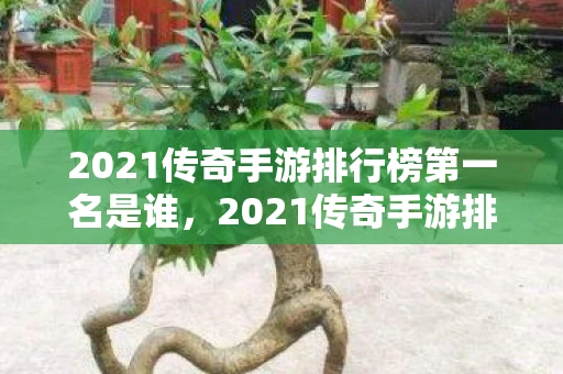 2021传奇手游排行榜第一名是谁，2021传奇手游排行榜第一名，重塑经典，引领潮流