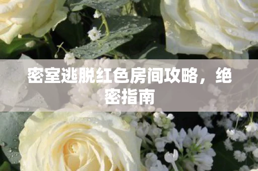 密室逃脱红色房间攻略图片