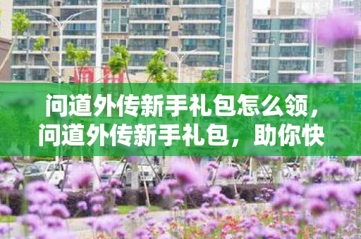 问道外传新手礼包怎么领，问道外传新手礼包，助你快速启程的秘籍