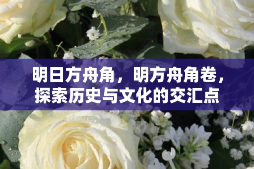 明日方舟角，明方舟角卷，探索历史与文化的交汇点