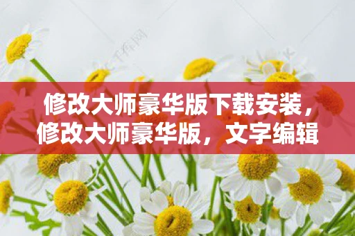 修改大师豪华版下载安装，修改大师豪华版，文字编辑的终极利器