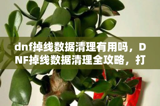 dnf掉线数据清理有用吗，DNF掉线数据清理全攻略，打造流畅游戏体验