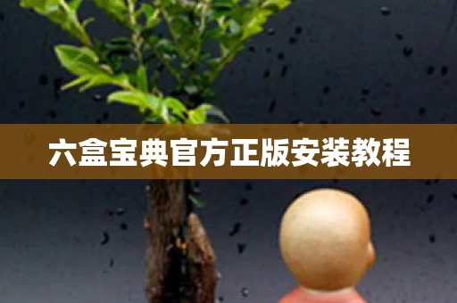 六盒宝典官方正版安装教程图片