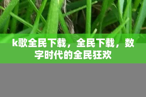 k歌全民下载，全民下载，数字时代的全民狂欢