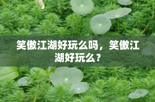 笑傲江湖好玩么吗，笑傲江湖好玩么？