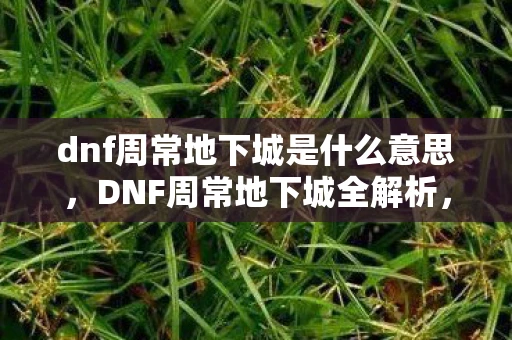dnf周常地下城是什么意思，DNF周常地下城全解析，挑战与奖励的完美结合