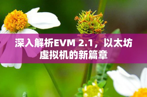 深入解析EVM 2.1，以太坊虚拟机的新篇章