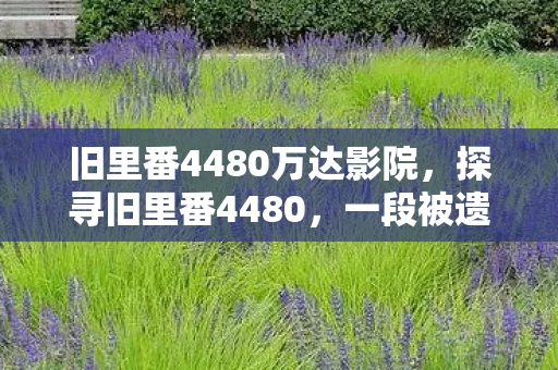 旧里番4480万达影院，探寻旧里番4480，一段被遗忘的动画传奇