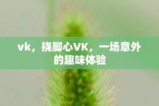 vk，挠脚心VK，一场意外的趣味体验
