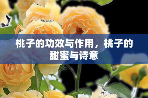 桃子的功效与作用，桃子的甜蜜与诗意