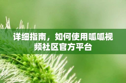 如何使用呱呱视频社区官方平台图片