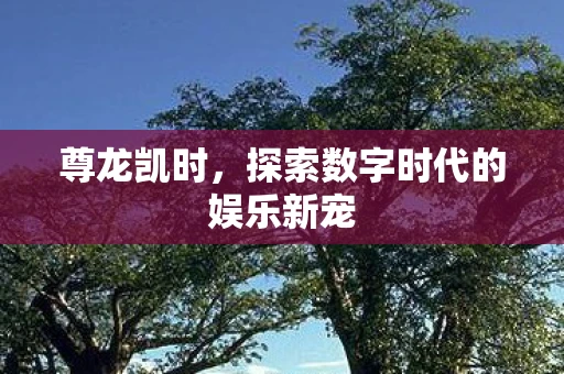 尊龙凯时，探索数字时代的娱乐新宠