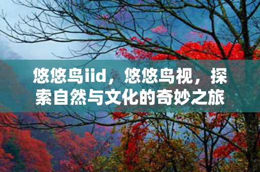悠悠鸟iid，悠悠鸟视，探索自然与文化的奇妙之旅