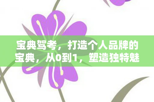 宝典驾考，打造个人品牌的宝典，从0到1，塑造独特魅力