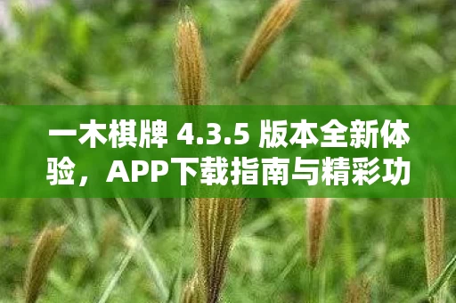 APP下载指南与精彩功能解析图片