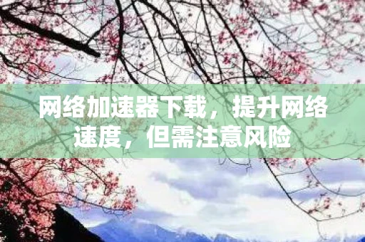 网络加速器下载，提升网络速度，但需注意风险