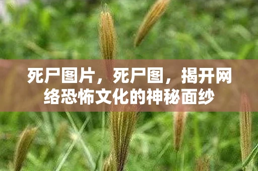 死尸图片，死尸图，揭开网络恐怖文化的神秘面纱