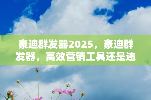 豪迪群发器2025，豪迪群发器，高效营销工具还是违规操作？