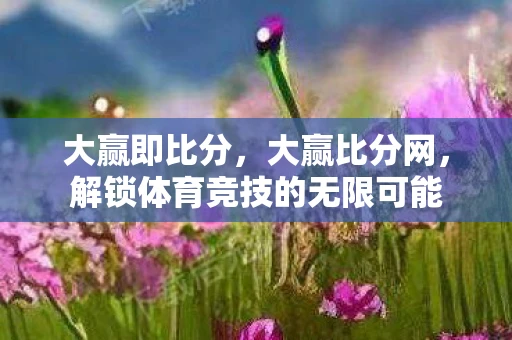 大赢即比分，大赢比分网，解锁体育竞技的无限可能