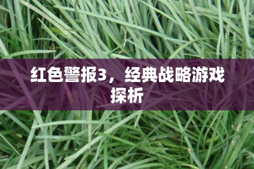经典战略游戏探析图片
