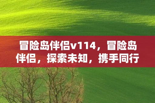 冒险岛伴侣v114，冒险岛伴侣，探索未知，携手同行的旅程