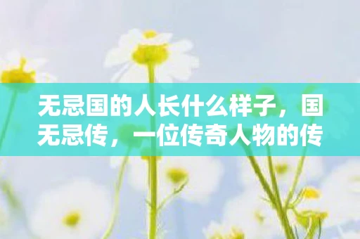 无忌国的人长什么样子，国无忌传，一位传奇人物的传奇人生