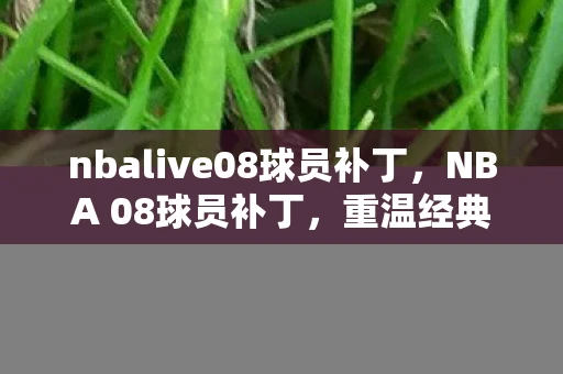 nbalive08球员补丁，NBA 08球员补丁，重温经典，重塑传奇