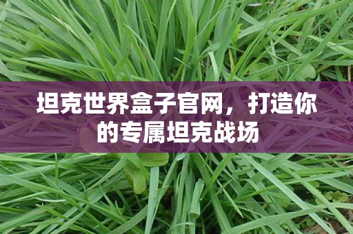 坦克世界盒子官网，打造你的专属坦克战场