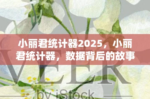 小丽君统计器2025，小丽君统计器，数据背后的故事
