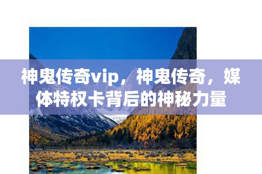 神鬼传奇vip，神鬼传奇，媒体特权卡背后的神秘力量