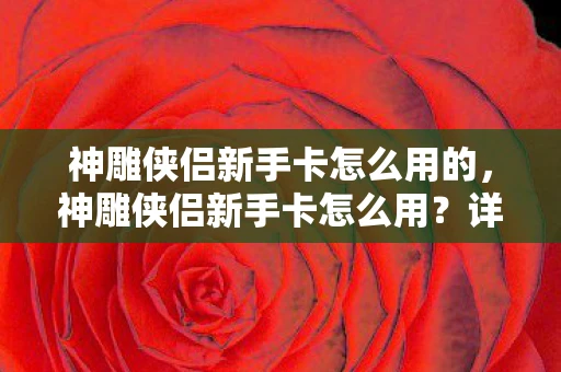 神雕侠侣新手卡怎么用的，神雕侠侣新手卡怎么用？详细攻略助你快速上手
